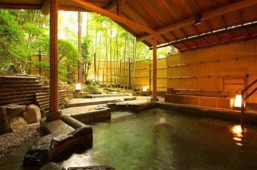 bain thermal expérience arima onsen Japan road