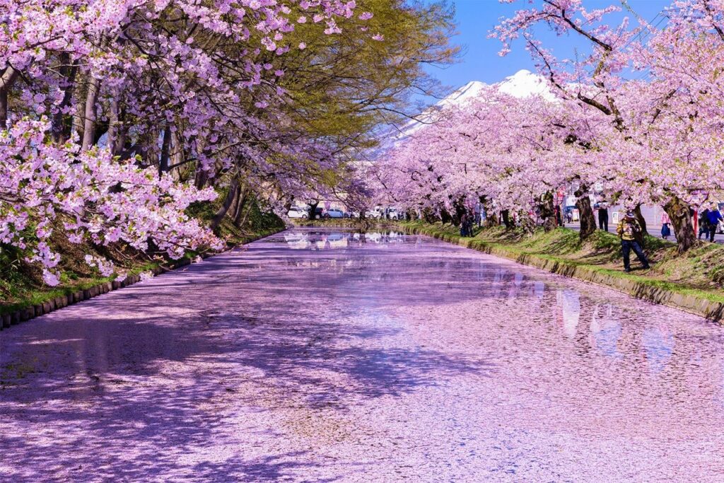 japon-printemps