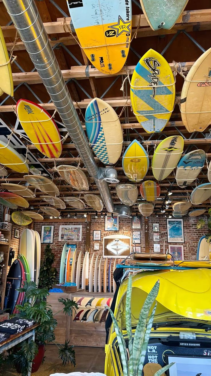 SURF