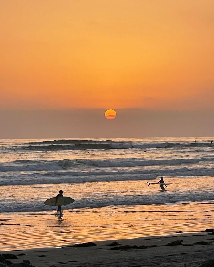 SURF