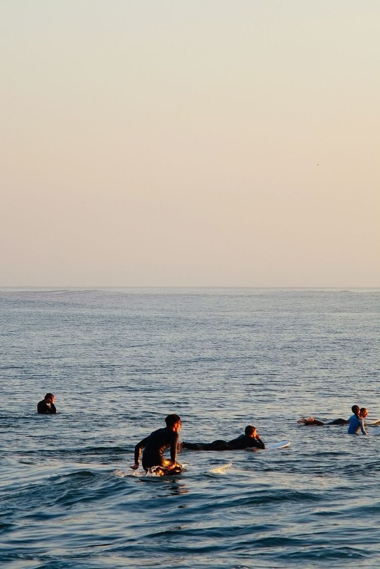 SURF