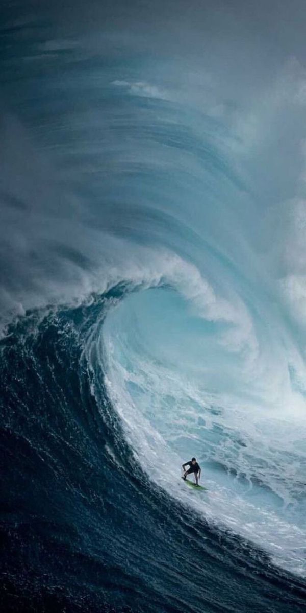 SURF