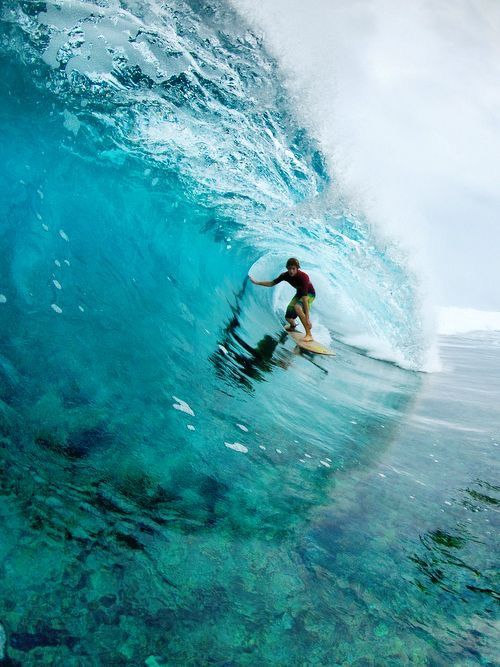SURF