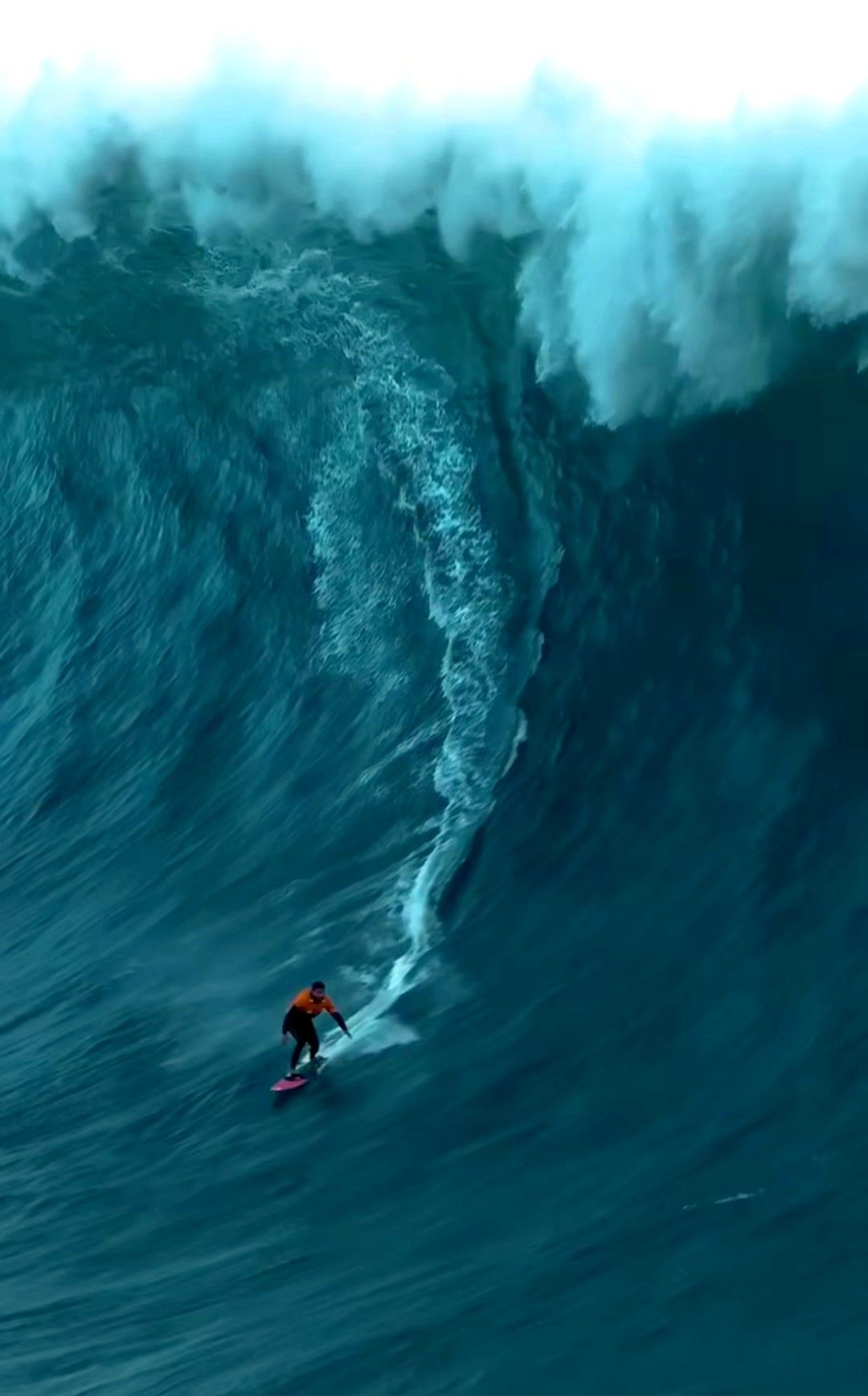 SURF