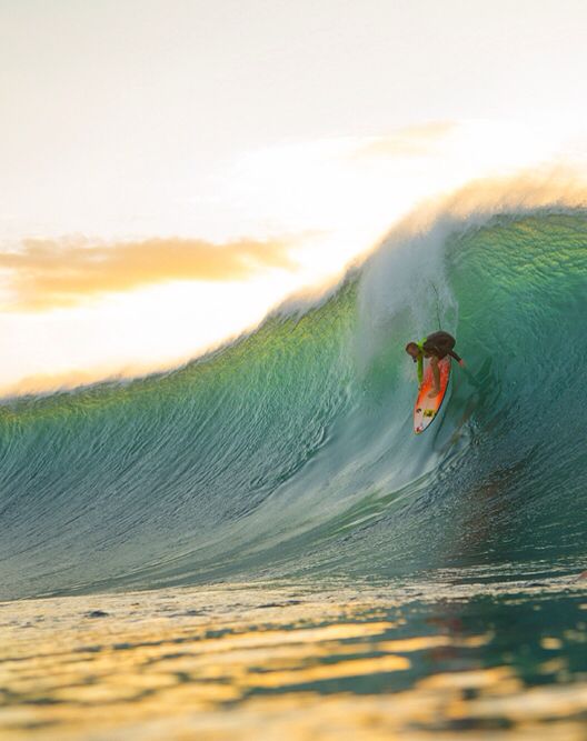 SURF