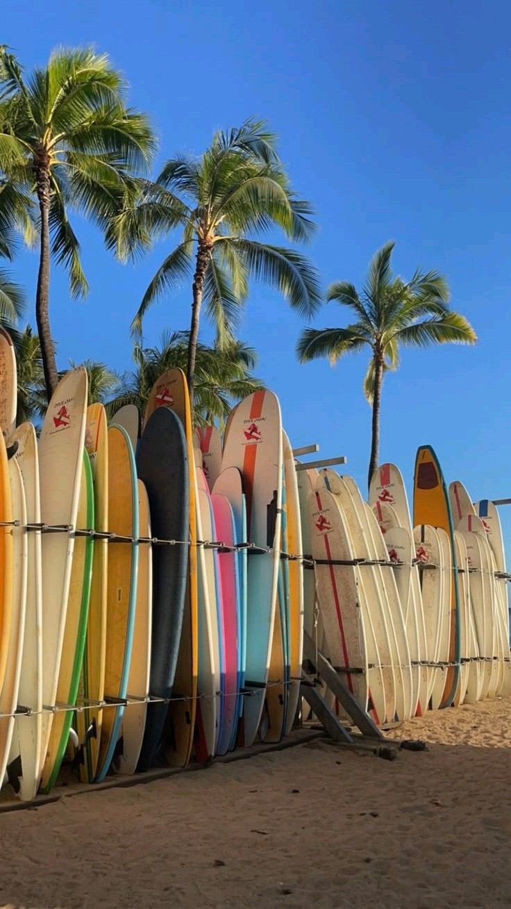 SURF