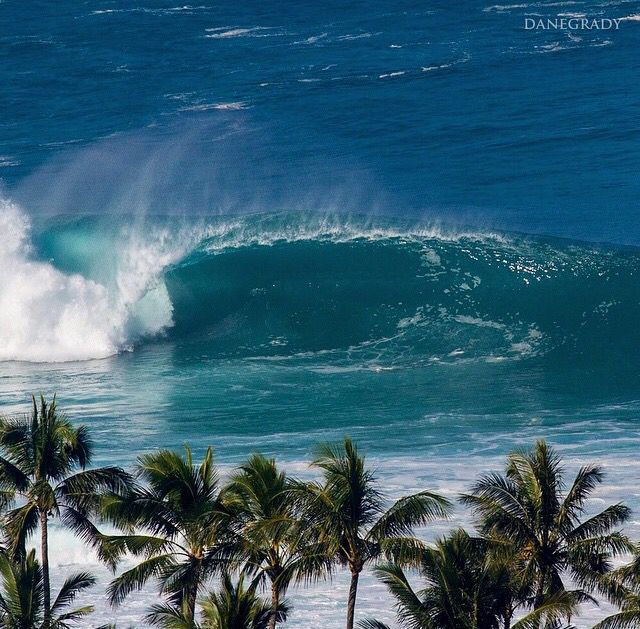 SURF