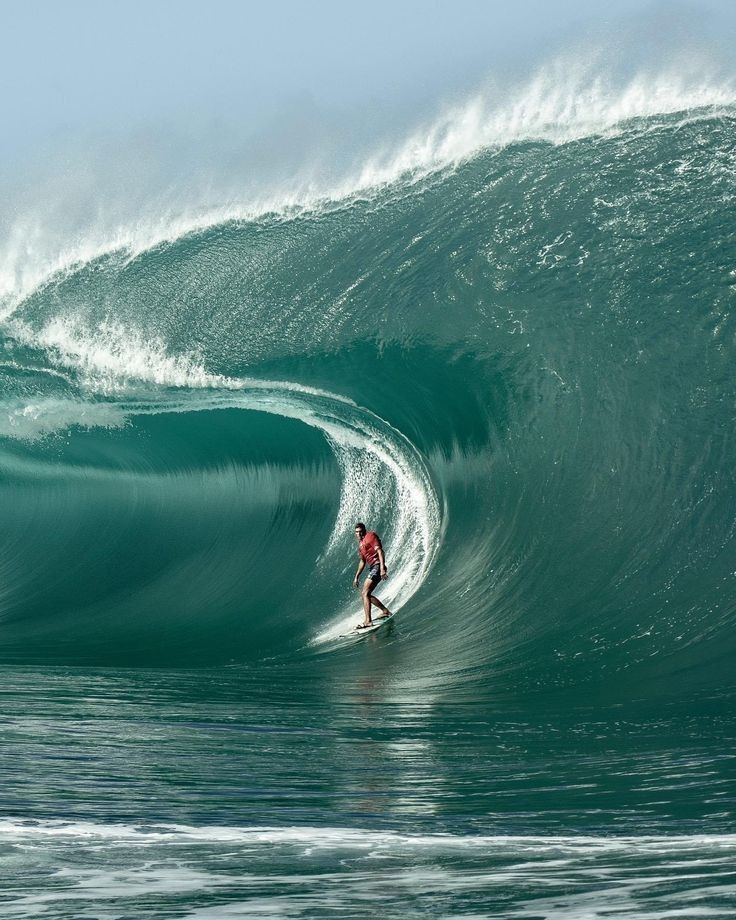 SURF
