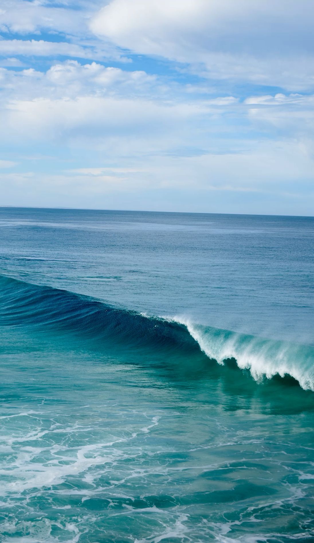 SURF