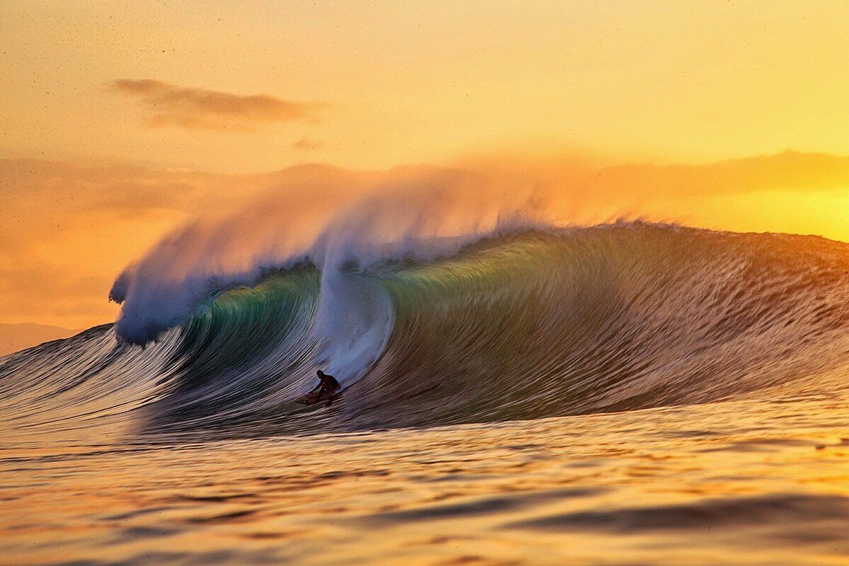 SURF