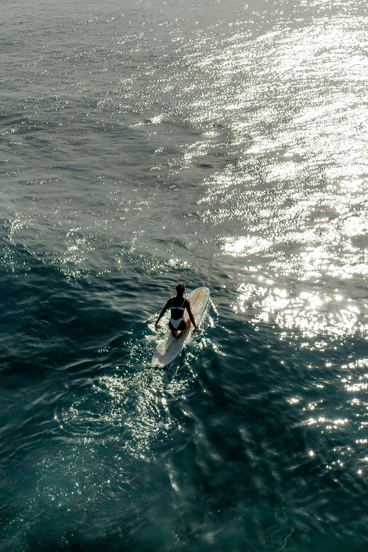 SURF