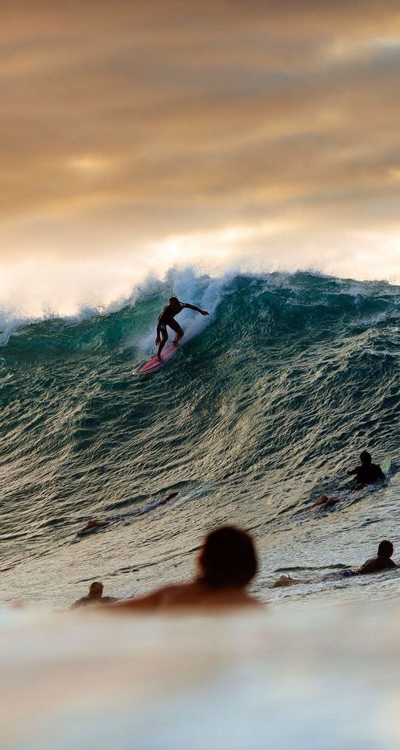 SURF